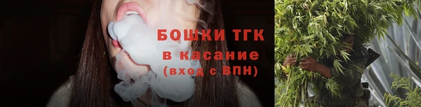 крисы Аркадак
