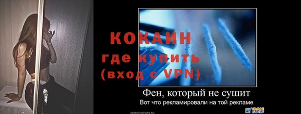 сатива Магадан