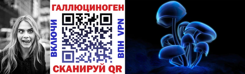 сайты даркнета какой сайт  Кингисепп  Галлюциногенные грибы мухоморы 