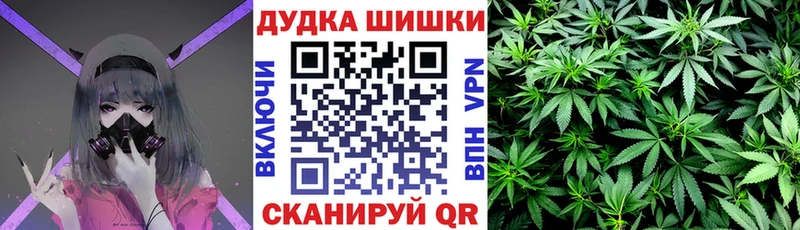 МАРИХУАНА ГИДРОПОН  Кингисепп 